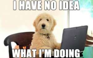 dog memes 10