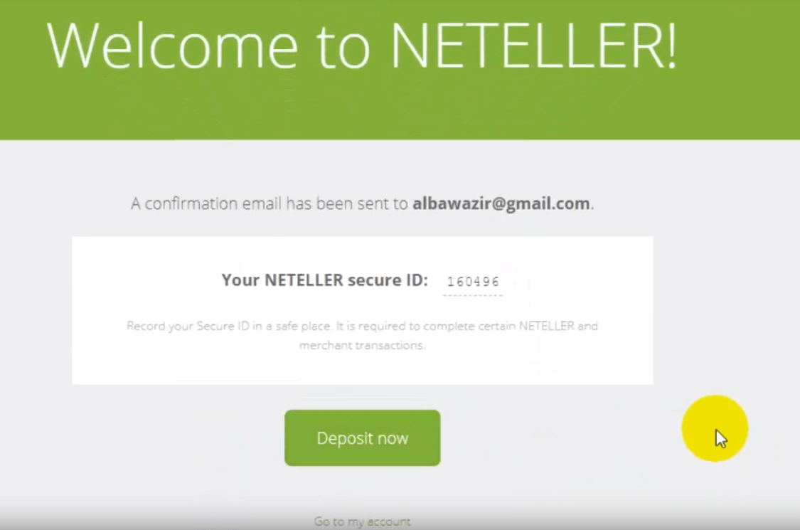 netelleraccount3