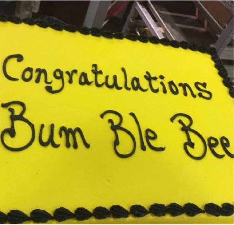 cakefails5