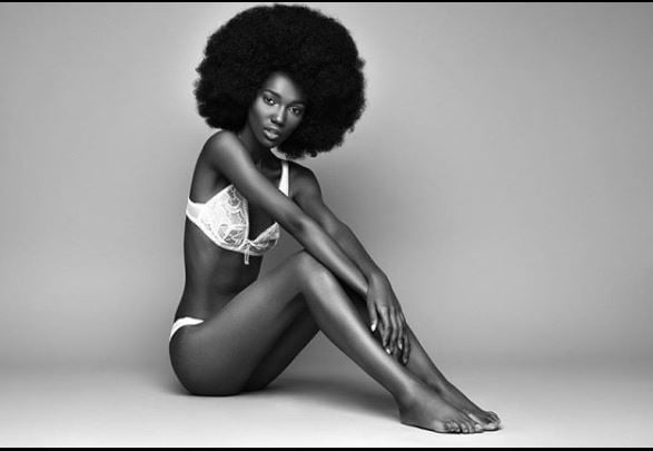 vsmodels12