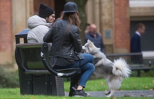 daley blind walks dog 1