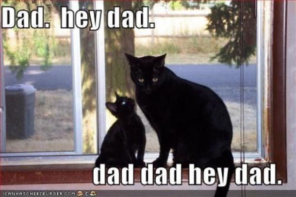 12 Dad Memes That Represent The Reality Of Being A Father