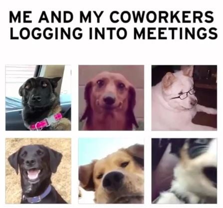 10 Funny and Legit Video Conferencing Memes For Every Employee
