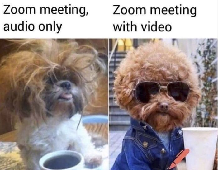 10 Funny and Legit Video Conferencing Memes For Every Employee