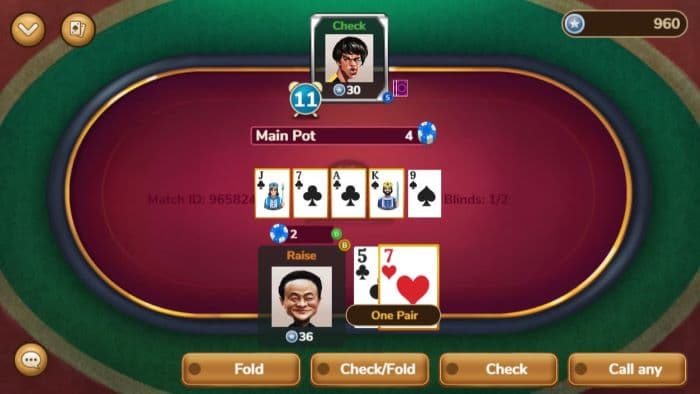 Call, Raise, Fold - Texas Holdem Quick Rules & Set Rules