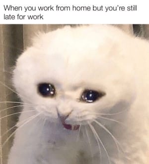 Working-from-home-memes-funny