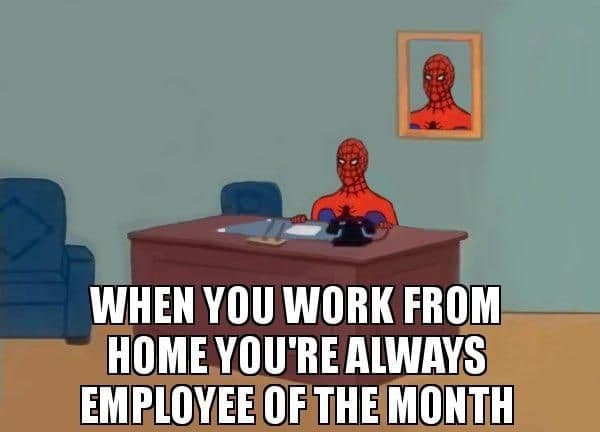 best-Working-from-home-memes-that-are-funny