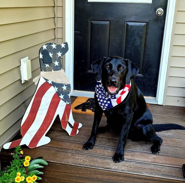 Happy 4th of July: Hilarious July 4th memes make you go ROFL