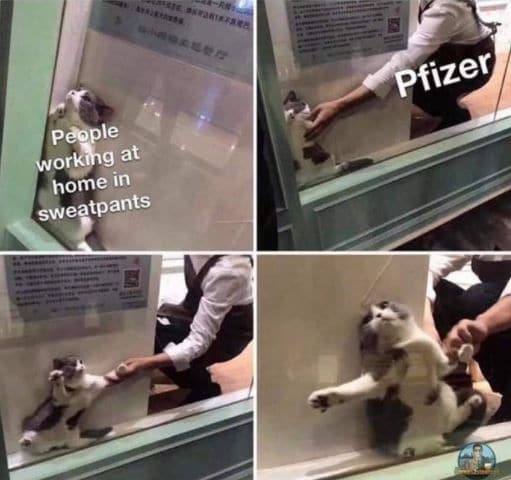 July memes - No lie & Relatable mid year review memes 2021