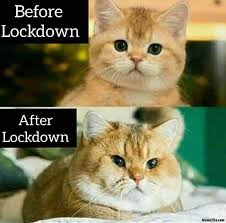 before and after lockdown memes - 11