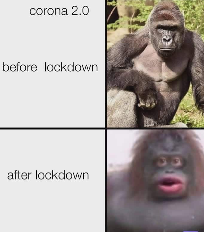 before and after lockdown memes - 15