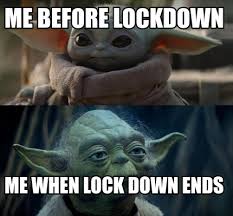 before and after lockdown memes - 16