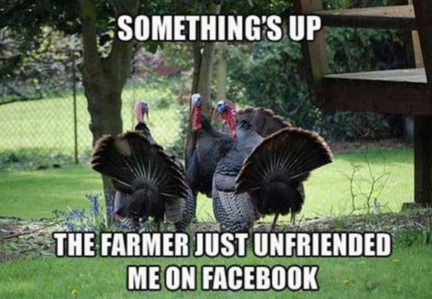 W88-Thanksgiving memes-01