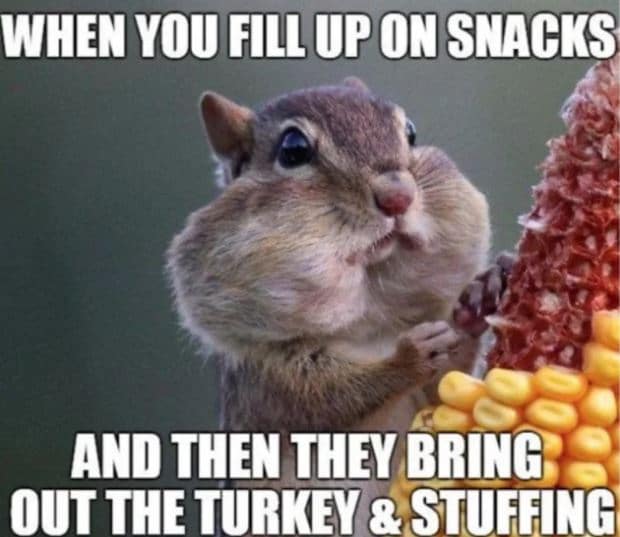W88-Thanksgiving memes-11