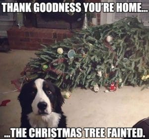 w88-christmas decoration memes-06