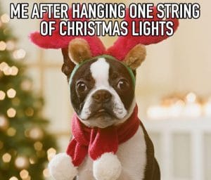 w88-christmas decoration memes-08
