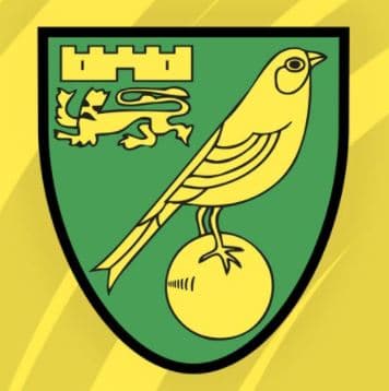 Southampton-vs-norwich-city-prediction-04