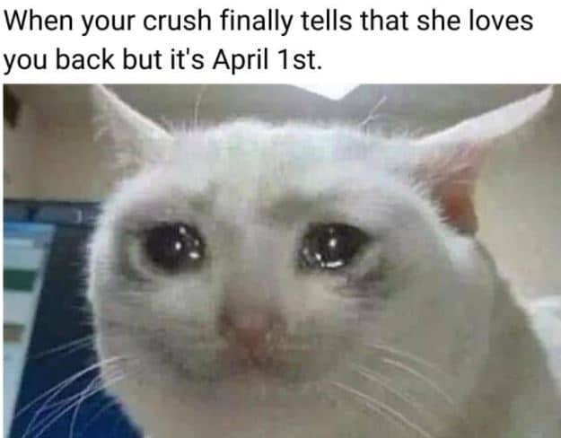 W88-april-fools-day-memes-08