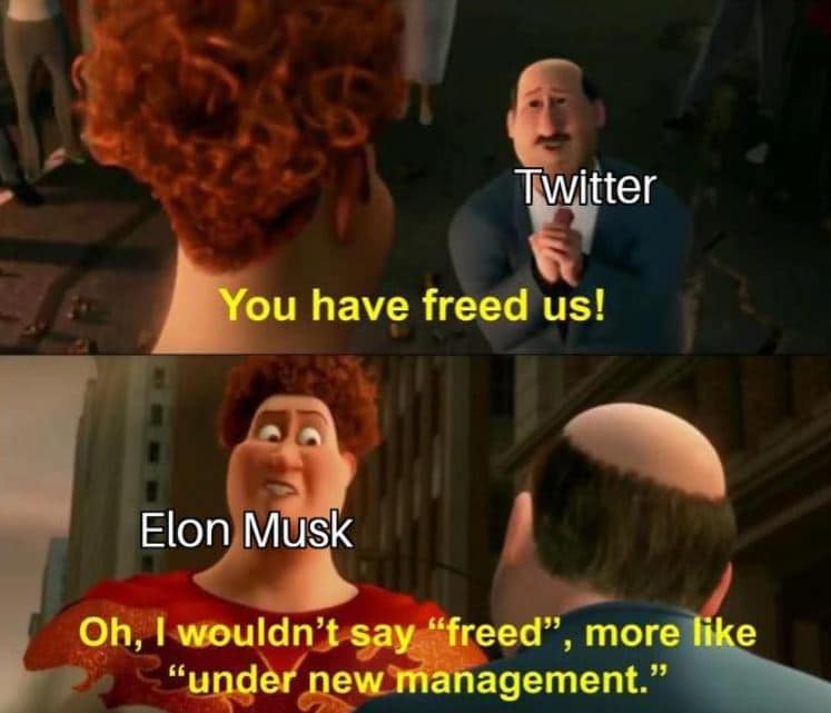 W88-Elon-musk-twitter-memes-07