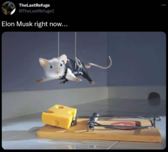 W88-Elon-musk-twitter-memes-12