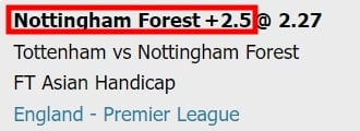 w88 betting on asian handicap 2.5 in football advantage example