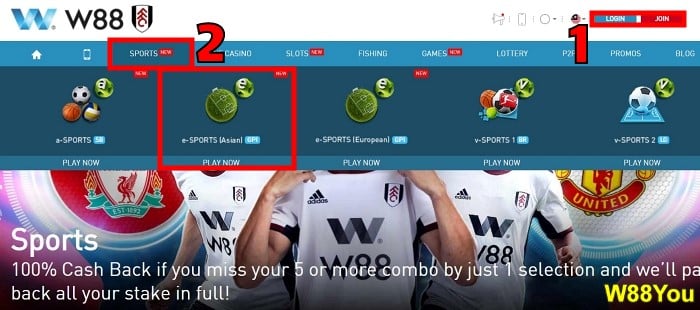 w88 handicap meaning in sports betting