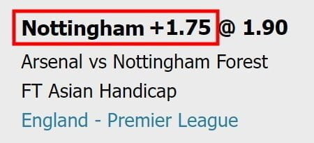 Asian handicap 1-75 meaning explained advantage goals