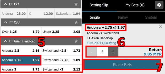 what does handicap 2.75 mean betting