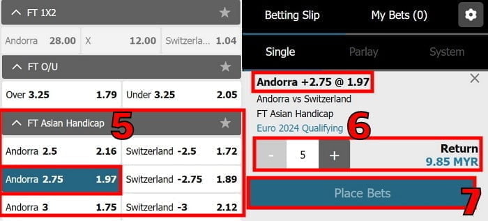 what does handicap 2.75 mean betting