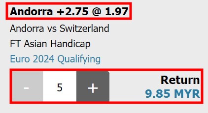 what does handicap 2.75 mean in betting outcome 1