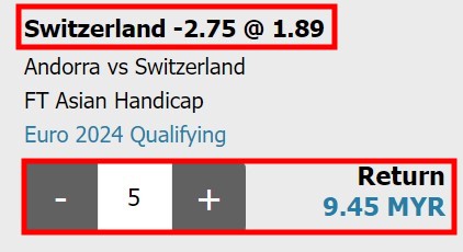 what does handicap 2.75 mean in betting outcome 2