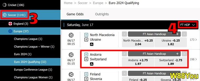 what does handicap 2.75 mean in soccer betting