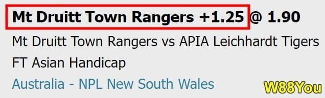 W88you asian handicap 1.25 meaning underdog team
