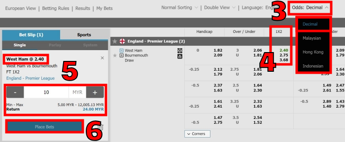 understanding decimal betting odds explained with betting guide step 2