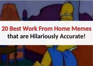 20 Best Work From Home Memes that are Hilariously Accurate!