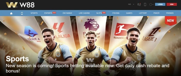 online cricket betting sites for beginners recommended by experts