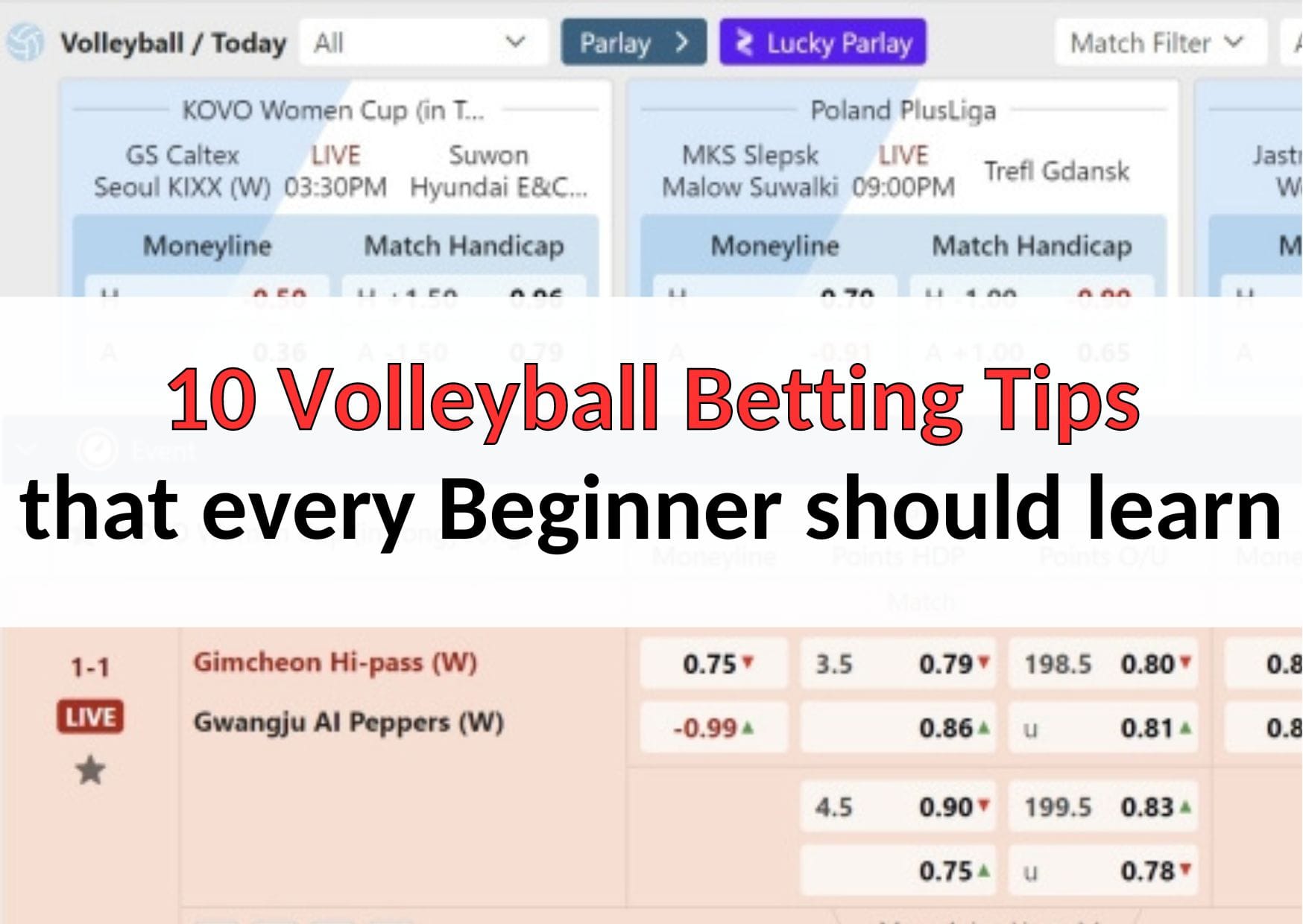 10 Volleyball Betting Tips that every Beginner should learn