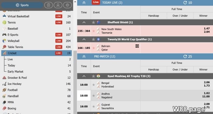 how does cricket betting odds work meaning explained with examples