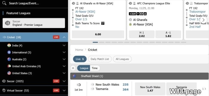 how does cricket betting odds work w88.page examples