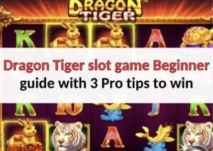 Dragon Tiger slot game Beginner guide with 3 Pro tips to win Dragon Tiger slot game beginner guide