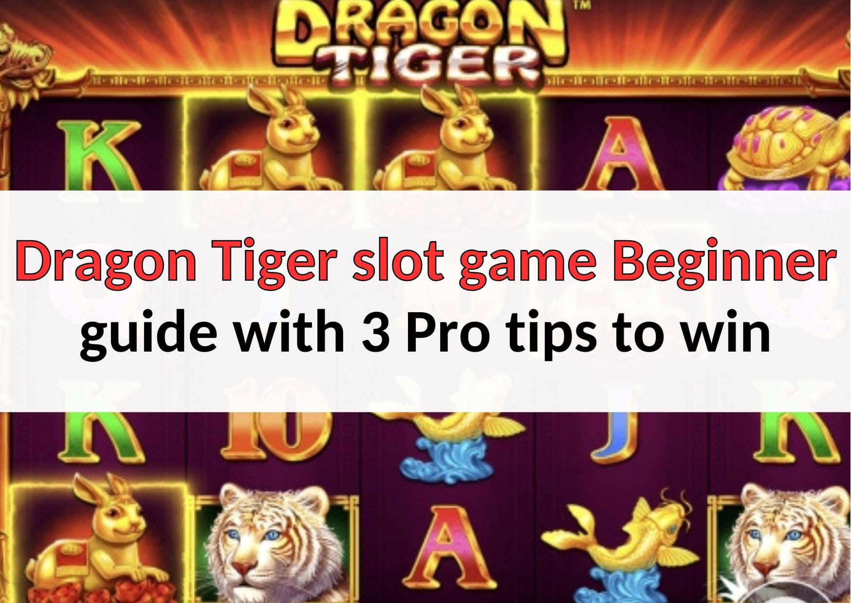 Dragon Tiger slot game beginner guide