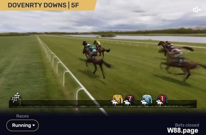 How do Virtual Sports work on sports betting websites