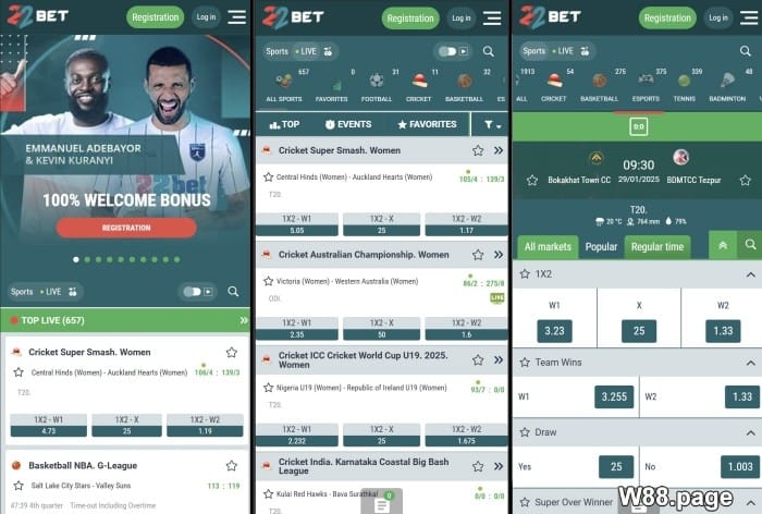 apps for cricket betting online 22bet malaysia