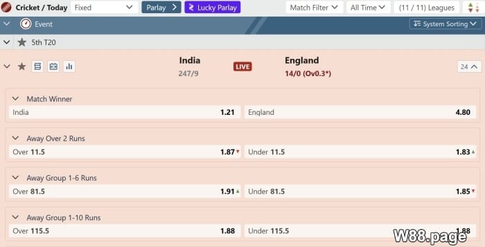 cricket betting rules for beginners explained