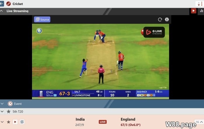 cricket betting rules learn from experts