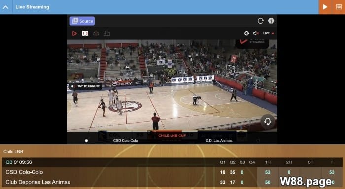 basketball betting Which Sport is the Best for Betting