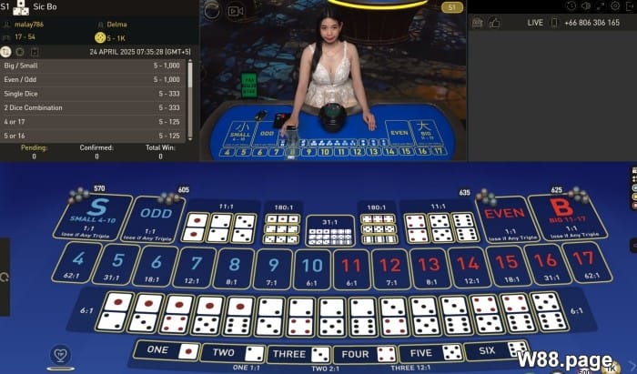 sic bo game rules explained for beginners