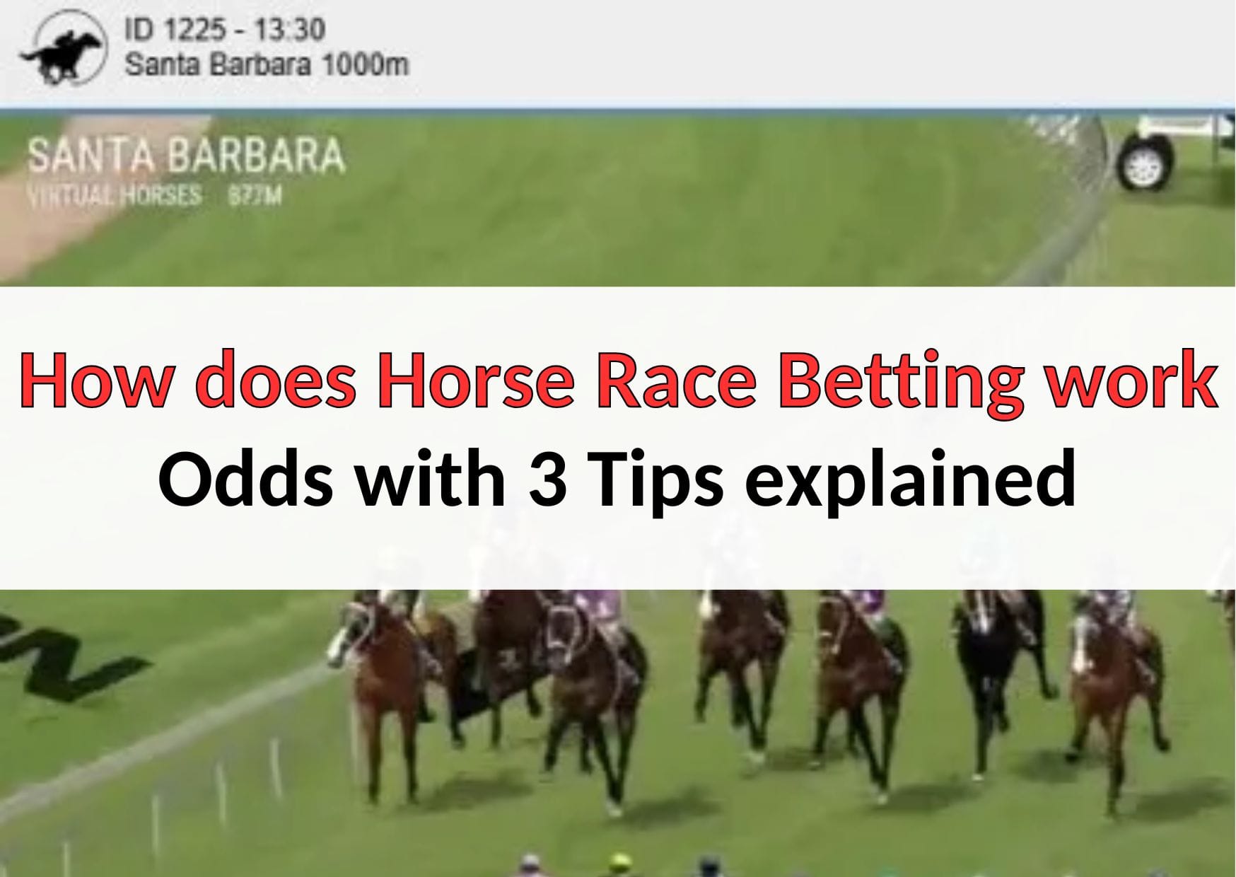 How does Horse Race Betting work