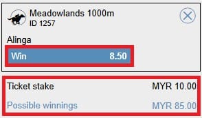 bet odds how does horse race betting work