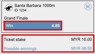 example 1 horse race betting odds explained